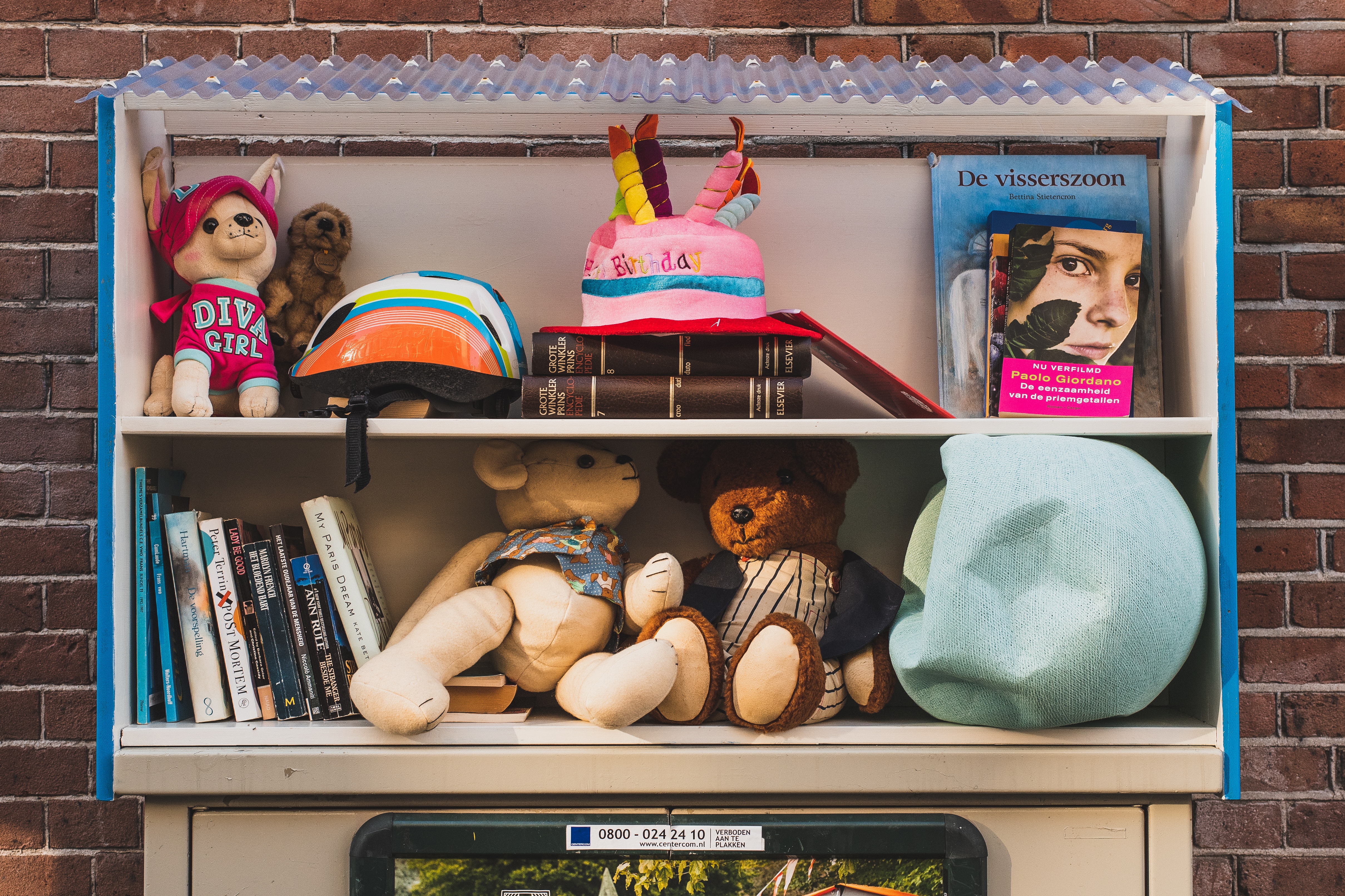 Shelf containing toys and books